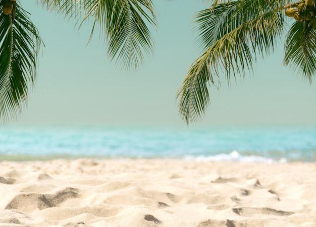 Amazing Beach Apartment Кулера Екстериор снимка